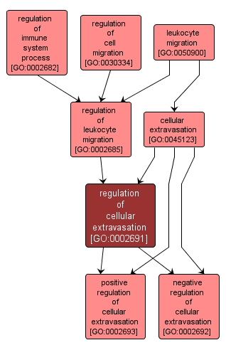 GO:0002691 - regulation of cellular extravasation (interactive image map)