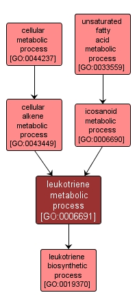 GO:0006691 - leukotriene metabolic process (interactive image map)