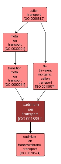 GO:0015691 - cadmium ion transport (interactive image map)