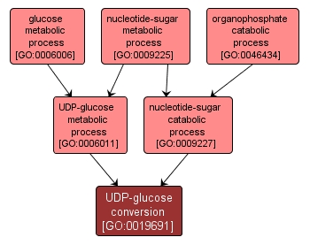 GO:0019691 - UDP-glucose conversion (interactive image map)