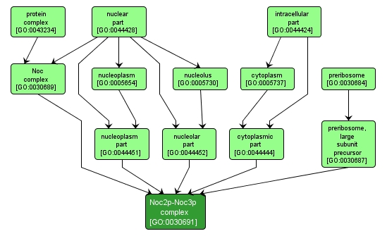 GO:0030691 - Noc2p-Noc3p complex (interactive image map)