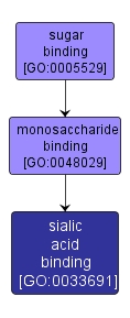 GO:0033691 - sialic acid binding (interactive image map)