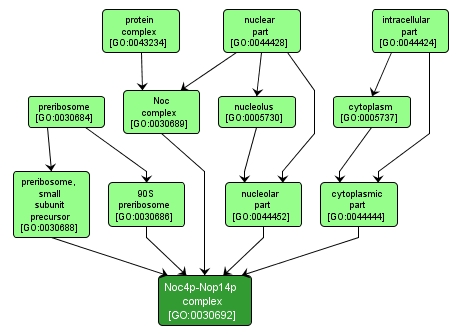 GO:0030692 - Noc4p-Nop14p complex (interactive image map)
