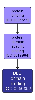 GO:0050692 - DBD domain binding (interactive image map)