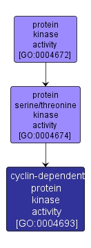 GO:0004693 - cyclin-dependent protein kinase activity (interactive image map)