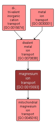 GO:0015693 - magnesium ion transport (interactive image map)