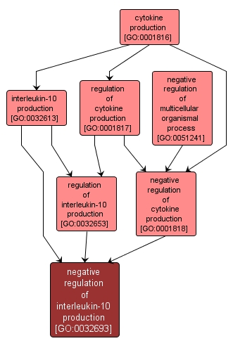 GO:0032693 - negative regulation of interleukin-10 production (interactive image map)