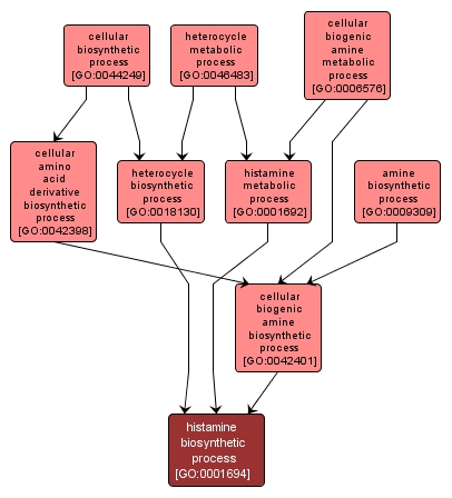 GO:0001694 - histamine biosynthetic process (interactive image map)