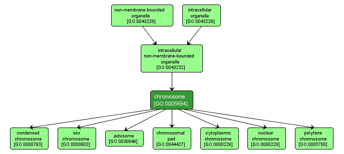 GO:0005694 - chromosome (interactive image map)