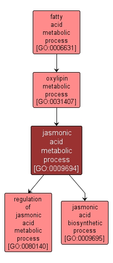 GO:0009694 - jasmonic acid metabolic process (interactive image map)
