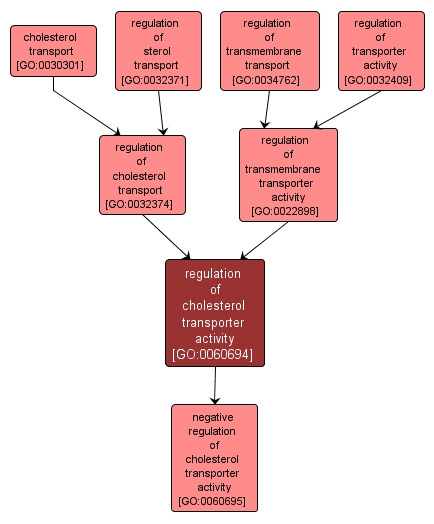 GO:0060694 - regulation of cholesterol transporter activity (interactive image map)