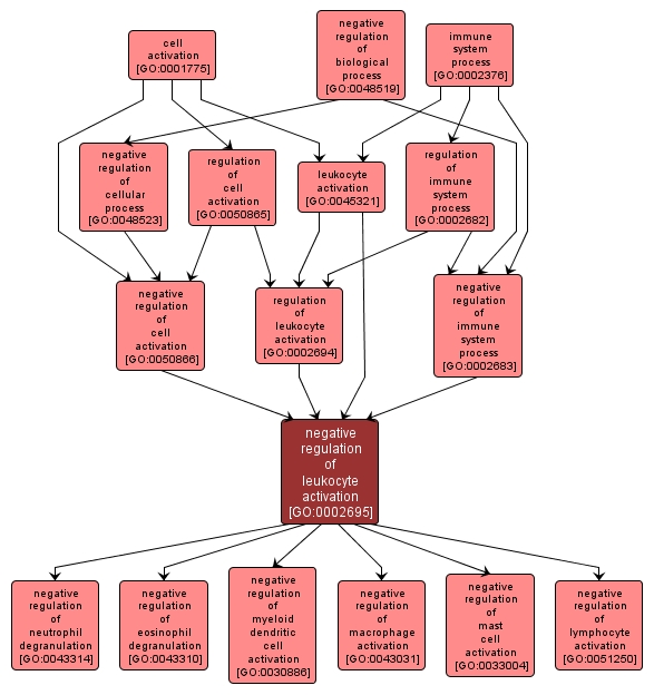 GO:0002695 - negative regulation of leukocyte activation (interactive image map)