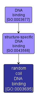 GO:0003695 - random coil DNA binding (interactive image map)