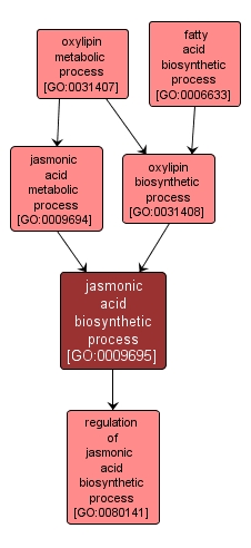 GO:0009695 - jasmonic acid biosynthetic process (interactive image map)