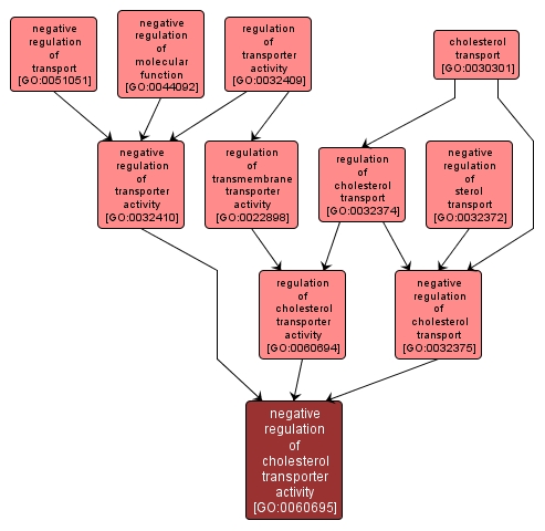 GO:0060695 - negative regulation of cholesterol transporter activity (interactive image map)