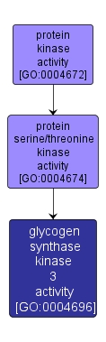 GO:0004696 - glycogen synthase kinase 3 activity (interactive image map)