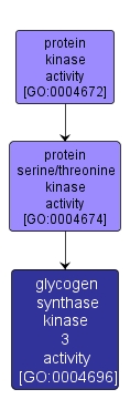 GO:0004696 - glycogen synthase kinase 3 activity (interactive image map)