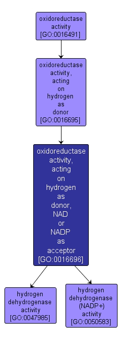 GO:0016696 - oxidoreductase activity, acting on hydrogen as donor, NAD or NADP as acceptor (interactive image map)