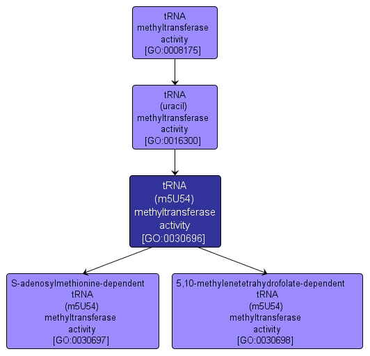 GO:0030696 - tRNA (m5U54) methyltransferase activity (interactive image map)