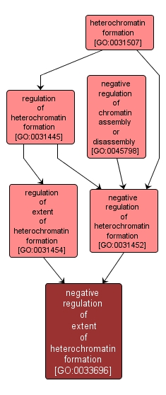 GO:0033696 - negative regulation of extent of heterochromatin formation (interactive image map)