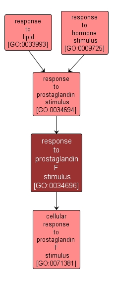 GO:0034696 - response to prostaglandin F stimulus (interactive image map)