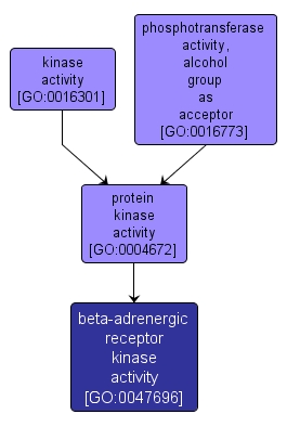 GO:0047696 - beta-adrenergic receptor kinase activity (interactive image map)