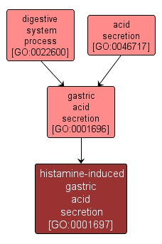 GO:0001697 - histamine-induced gastric acid secretion (interactive image map)