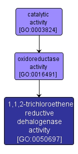 GO:0050697 - 1,1,2-trichloroethene reductive dehalogenase activity (interactive image map)