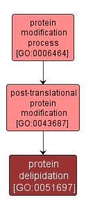 GO:0051697 - protein delipidation (interactive image map)