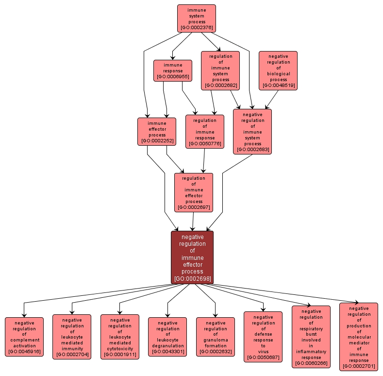 GO:0002698 - negative regulation of immune effector process (interactive image map)