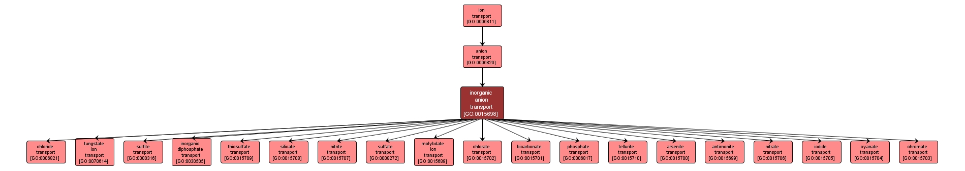 GO:0015698 - inorganic anion transport (interactive image map)