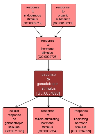 GO:0034698 - response to gonadotropin stimulus (interactive image map)