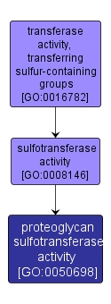 GO:0050698 - proteoglycan sulfotransferase activity (interactive image map)