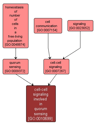 GO:0010699 - cell-cell signaling involved in quorum sensing (interactive image map)