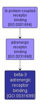 GO:0031699 - beta-3 adrenergic receptor binding (interactive image map)