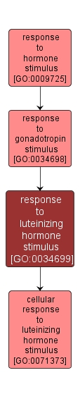 GO:0034699 - response to luteinizing hormone stimulus (interactive image map)