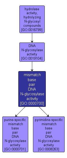 GO:0000700 - mismatch base pair DNA N-glycosylase activity (interactive image map)