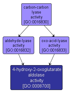 GO:0008700 - 4-hydroxy-2-oxoglutarate aldolase activity (interactive image map)