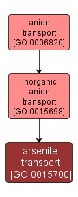 GO:0015700 - arsenite transport (interactive image map)