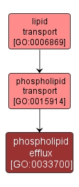 GO:0033700 - phospholipid efflux (interactive image map)
