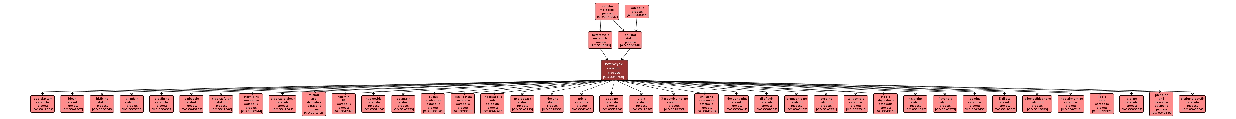 GO:0046700 - heterocycle catabolic process (interactive image map)