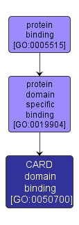 GO:0050700 - CARD domain binding (interactive image map)