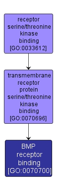 GO:0070700 - BMP receptor binding (interactive image map)