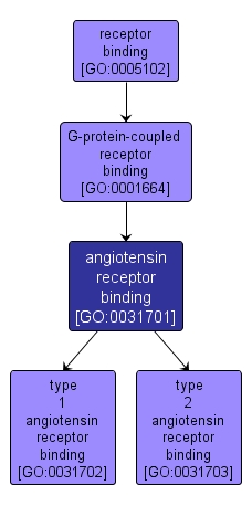 GO:0031701 - angiotensin receptor binding (interactive image map)