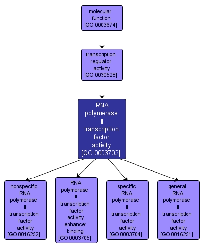 GO:0003702 - RNA polymerase II transcription factor activity (interactive image map)