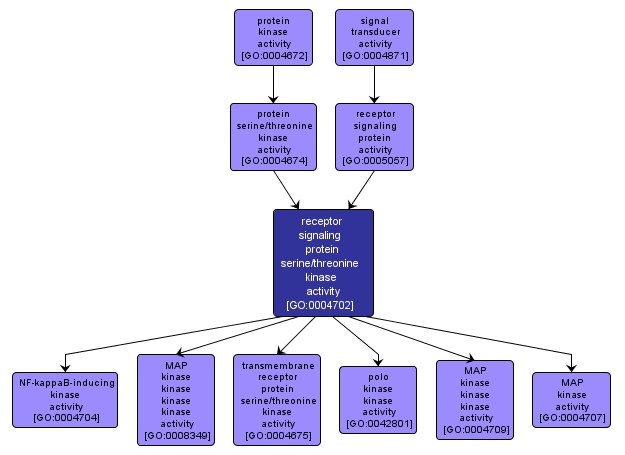 GO:0004702 - receptor signaling protein serine/threonine kinase activity (interactive image map)