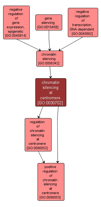 GO:0030702 - chromatin silencing at centromere (interactive image map)