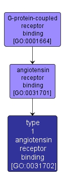 GO:0031702 - type 1 angiotensin receptor binding (interactive image map)