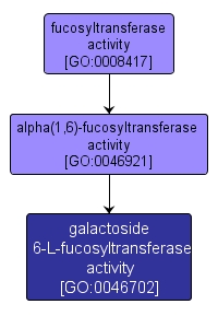 GO:0046702 - galactoside 6-L-fucosyltransferase activity (interactive image map)