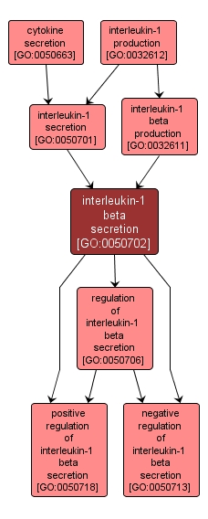 GO:0050702 - interleukin-1 beta secretion (interactive image map)